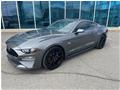 2021
Ford
Mustang