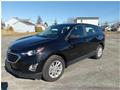 2020 Chevrolet Equinox LS for sale 2020
Chevrolet
Equinox LS